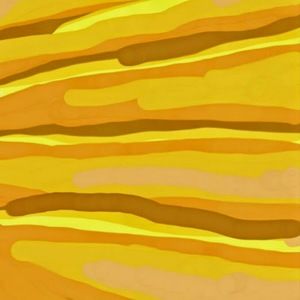 Meet your Posher, Naomi